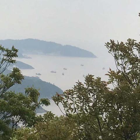 想改运？这些老黄历里的命理书或许能帮到你