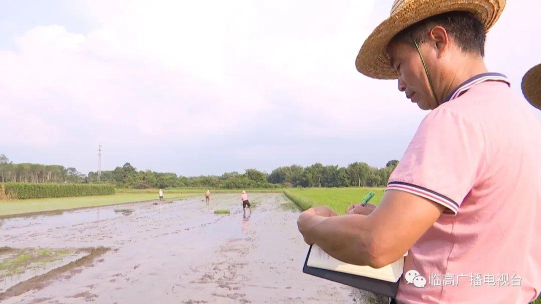 瓜菜学术论文一穷二白百业待兴公私合营