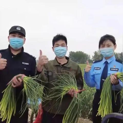 济南市场蒜苔价格多少