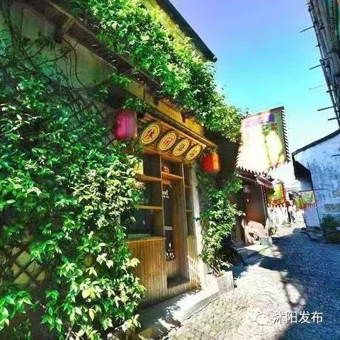 杭州市的主要树木是什么