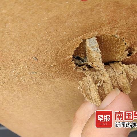 南宁收废品好不好做？