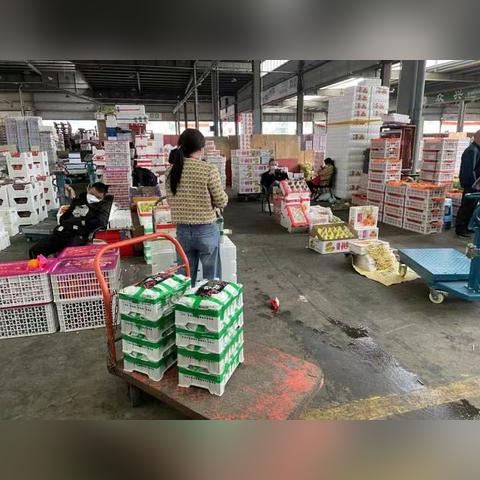 2025.12.12宁波今日最新油价查询