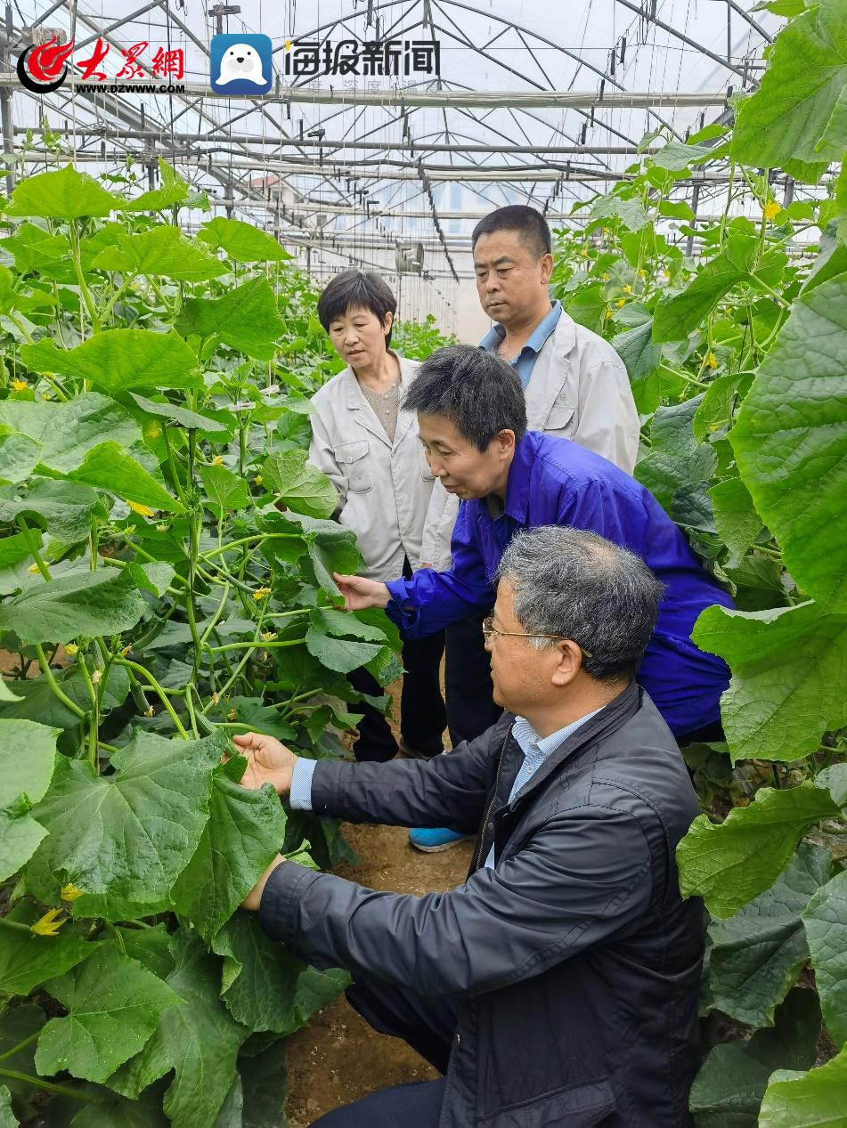 成为站长的优势和劣势潜伏中洪秘书结局