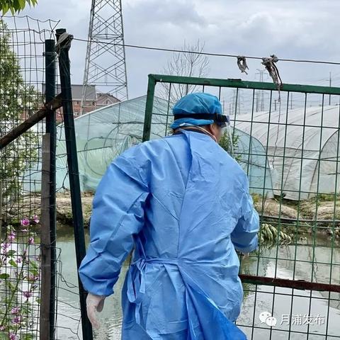 苏州市沈巷村怎么样