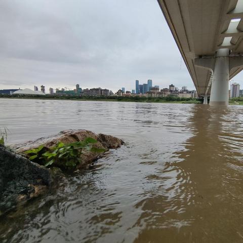 左江郁江将现今年以来最大洪水，南宁市城区邕江两岸部分景观带将受淹, 你怎么看？