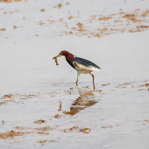 济南市捕鱼网站有哪些