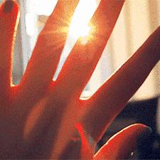 2025.12.5温州今日气温变化情况