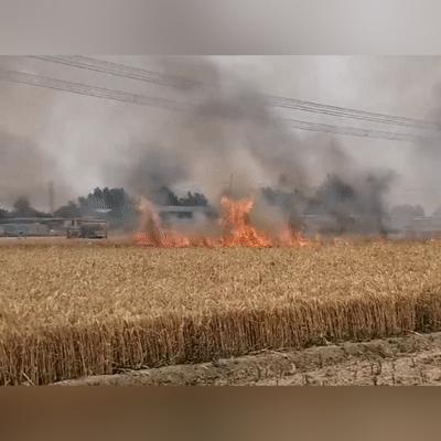 周口市有马场吗在哪里的长尾关键词有什么