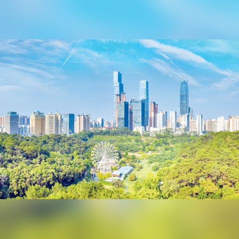 【南宁今日鸡蛋价格】2025年7月21日南宁鸡蛋价格是多少