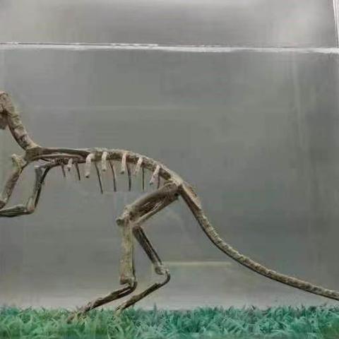 兰州海石湾属于哪个区？