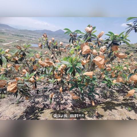 宁波市宁海疫情怎么样啦
