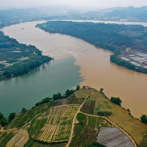 南宁市的改卷系统怎么用