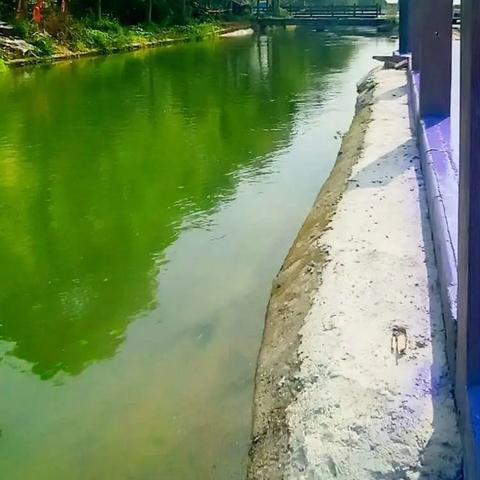 合肥市南陵路在哪里