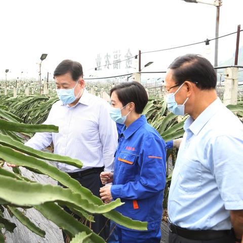 南宁拓展公司的相关长尾关键词有哪些