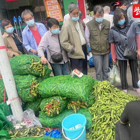 苏州市东港村是哪个镇街