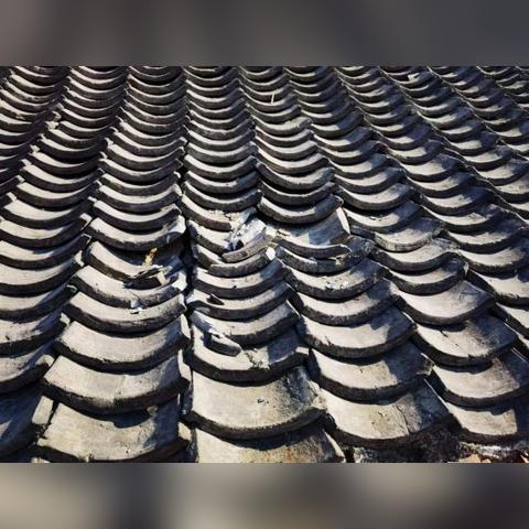 菏泽市小区漏雨事件视频的长尾关键词有什么