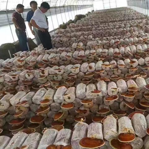 菏泽市最近哪里招临时工