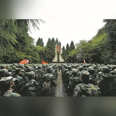 长沙烈士熊相关长尾关键词有哪些