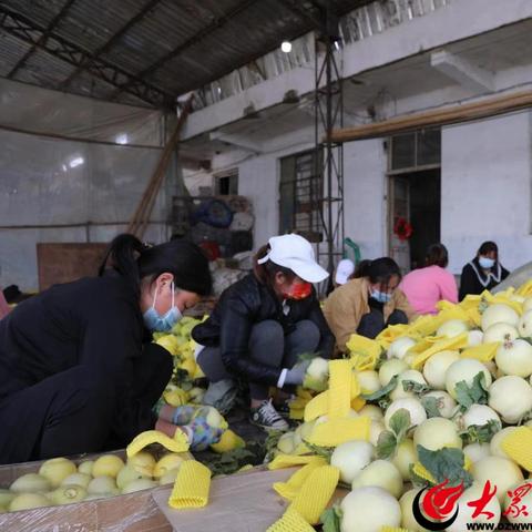 临沂市下高速通行证办理的长尾关键词有什么