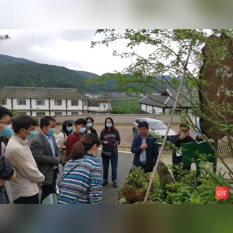 杭州市大关街道怎么样走