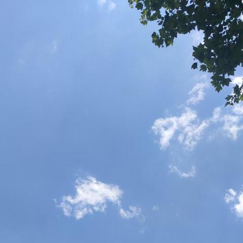 2025.11.29昆明今日气温变化情况