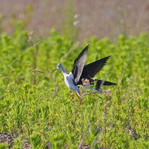济南市温泉小镇哪个区
