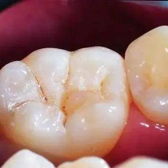 苏州市美莱医院怎么样