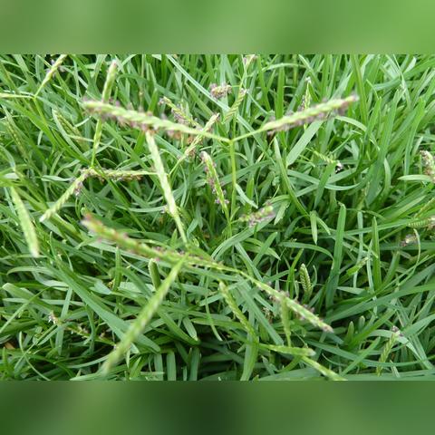 江苏南通市有多少平房的