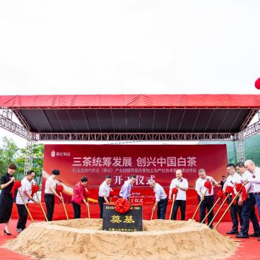 熹茗茶业由来？