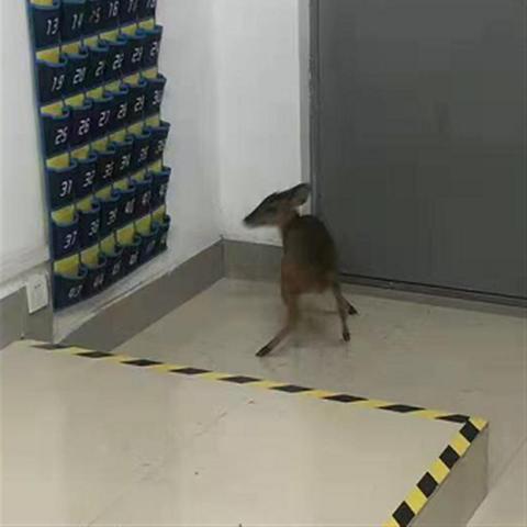 西安最好的保安公司是哪家？