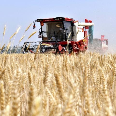 临沂市生孩子核酸检测的长尾关键词有哪些