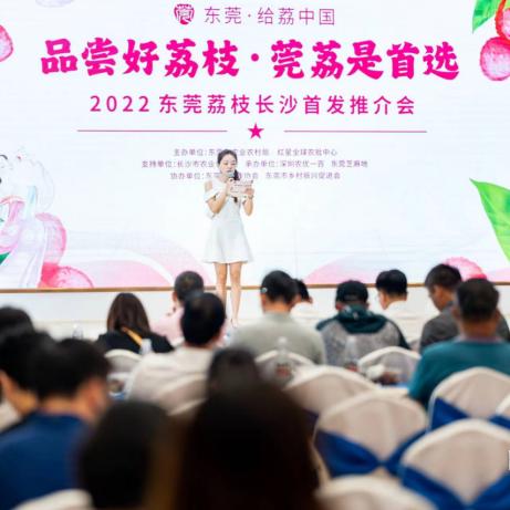 长沙最正宗的莞式服务相关长尾关键词有哪些