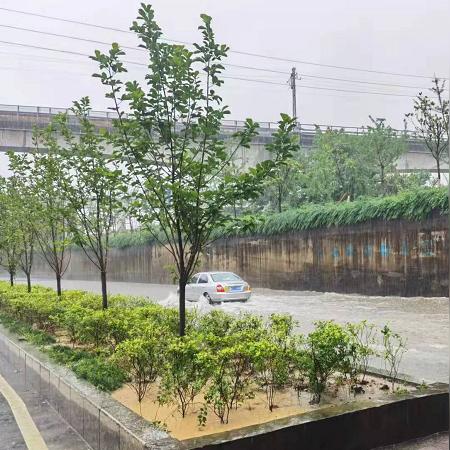 广西桂林灵川大道视频的相关长尾关键词有哪些