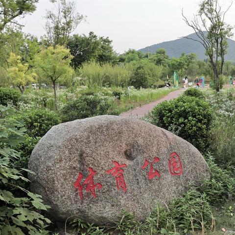 安徽淮南最大的公园？