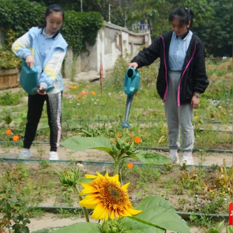 南通市哪里心理医生好
