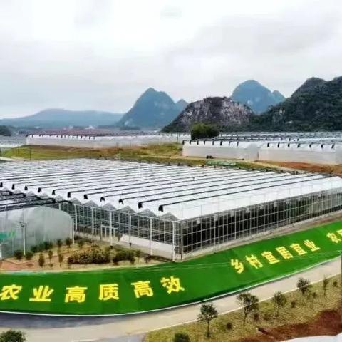 广西彩椒的做法大全的长尾关键词有哪些