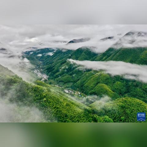 福建医药卫生技能考试报名流程？