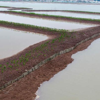 温州市跳跳鱼集团地址在哪里