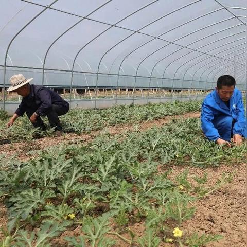 鸭司令阅读答案桂林相关长尾关键词有哪些