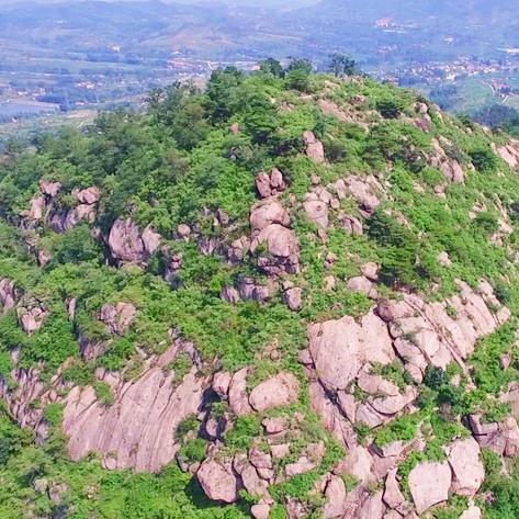 济南第一村是哪个村？