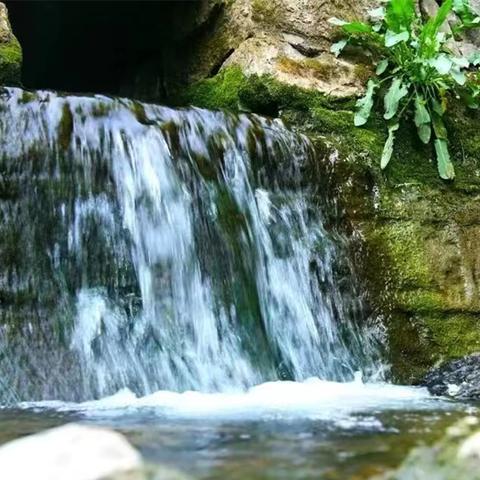 济南市钢城区多少个自然村