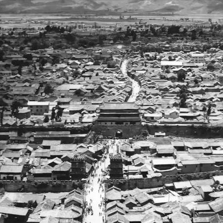 苏州市有个金什么区的