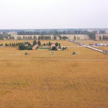 菏泽市四座餐桌椅在哪买的长尾关键词有什么