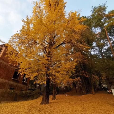 桂林市与哪个市距离最远