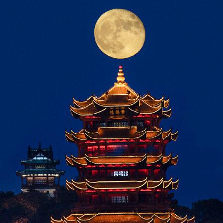 黄鹤楼属武汉市哪个区