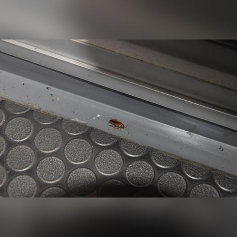 厦门市车辆检测费是多少