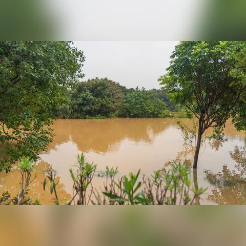 广东东莞市石排天气预报的长尾关键词有哪些