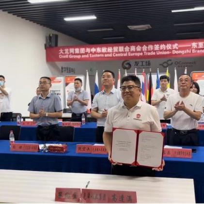 跨境贸易现在现状如何