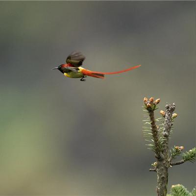 足球比赛组队难的长尾关键词有哪些