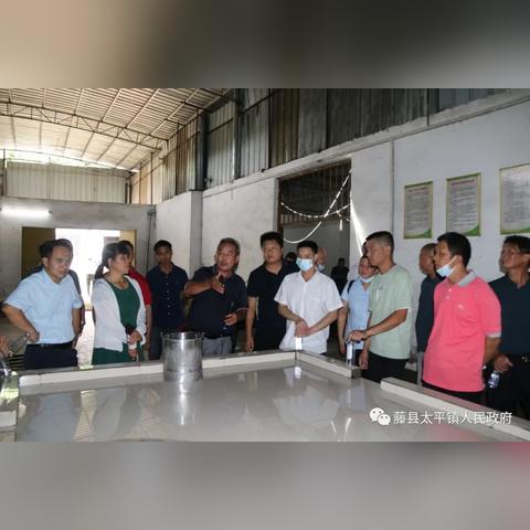 东莞市太平酒厂怎么样